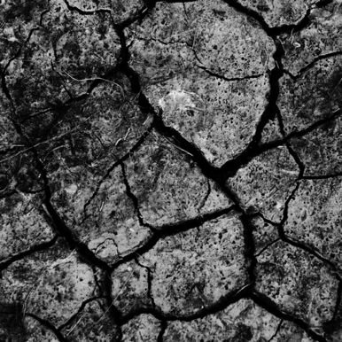 Exterminio - Nelson Tirelli Cartagena.jpg