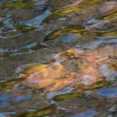 BRUITTX-AGUAS_V_ Luis Marisquirena.jpg