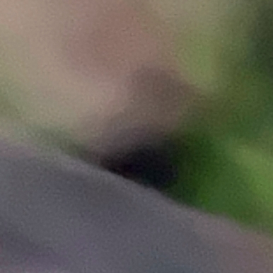 BRUITTX-DERIVAS Luis Marisquirena.jpg