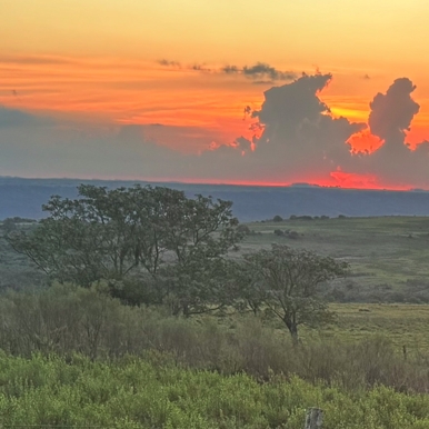 BRUITTX-Cuchilla Laureles  Luis Marisquirena.jpg