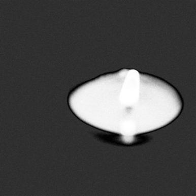 mother's womb_image.png