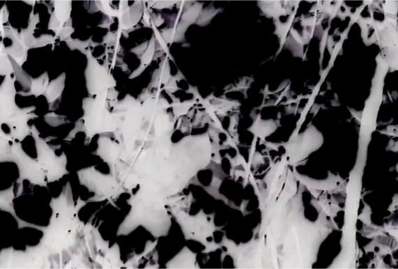 À Revelia - Rodrigo Ramos.png