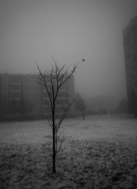 EXISTENCIAL_Kielce, Polonia ..jpg