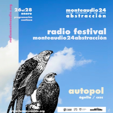 RadioFestival - Pol Villasuso .jpg